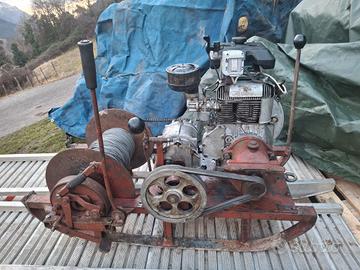 argano forestale con cambio 4 marce + retro 