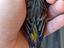 Immagine 5