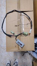 centralina rapid bike Easy z 900