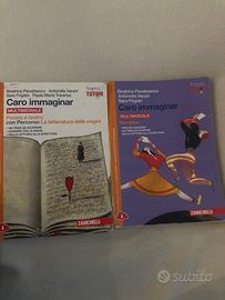 Insieme dei due libri CARO IMMAGINAR