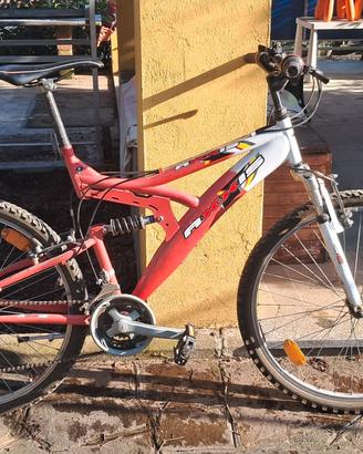 Bici adulto