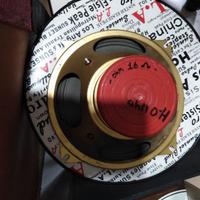 altoparlanti  vintage per amplificatori  valvolari