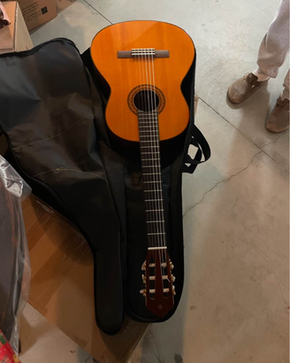Chitarra con custodia