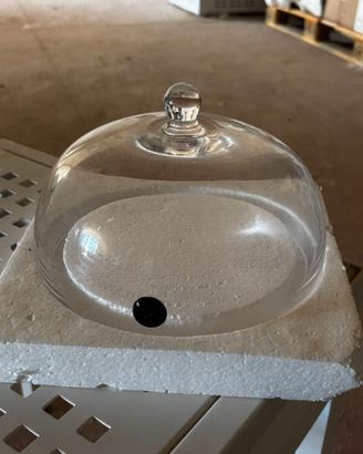 Campana per affumicatura in vetro - cucina gourmet