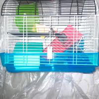 gabbia x criceti, nuova, mai usata 