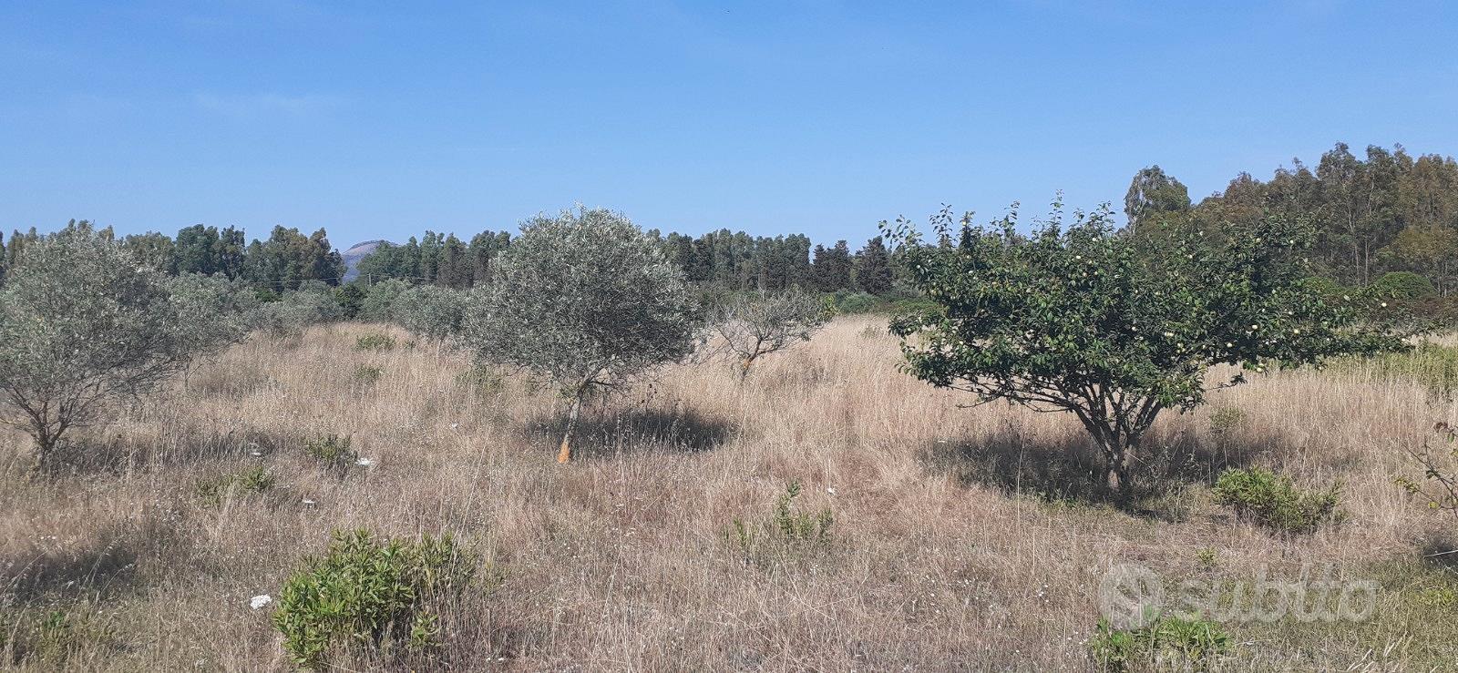 Terreno agricolo - Altro