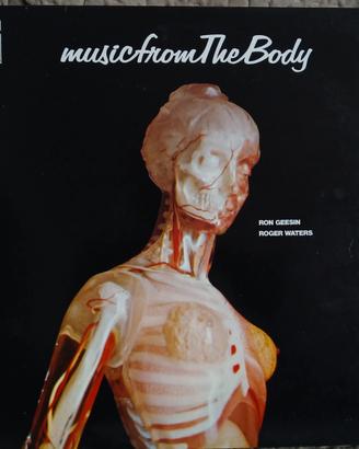 Disco vinile. Roger Waters &Ron Geesin. Music from