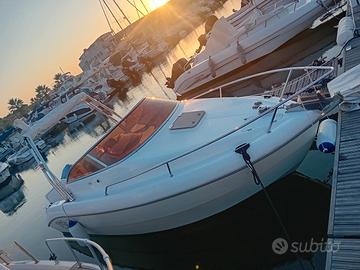 sessa oyster 20+carrello omologato 