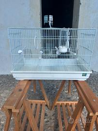 Gabbia per uccelli praticamente nuova