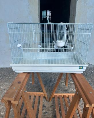 Gabbia per uccelli praticamente nuova