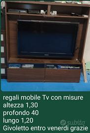 Mobile tv