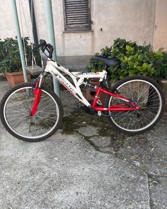 Bici boxer ragazzo