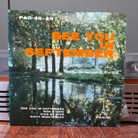 Disco vinile 45 giri "See you in september"