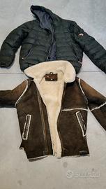 montone diesel 