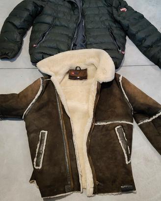 montone diesel 