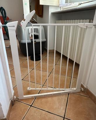 Cancelletto