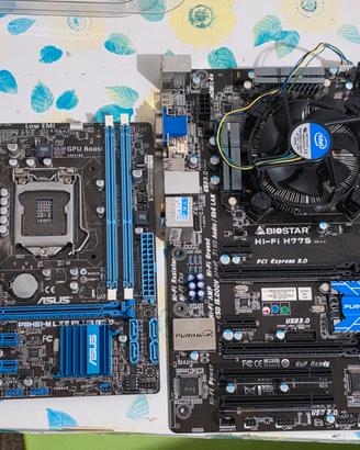 Scheda madre Asus P8H61-M+Biostar H77S