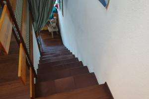 Appartamento