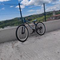 Wheelie bike