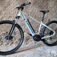 E mtb