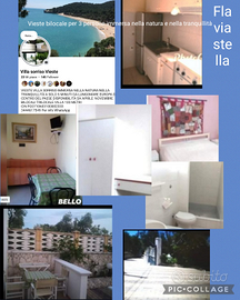 Vieste 1/11 350 a sett.11 giorni 600.al Di 80