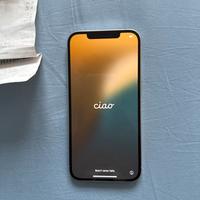 Iphone 12 pro max 256gb