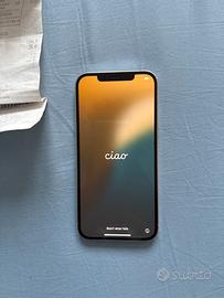 Iphone 12 pro max 256gb