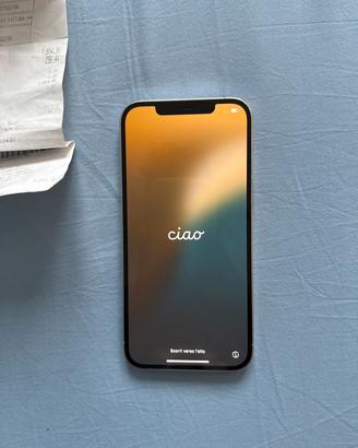 Iphone 12 pro max 256gb