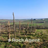 CASA+GRANDE PORTICO+CASA AGRICOLA+TERRENO IN UNICA