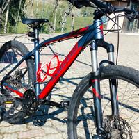 BICICLETTA MTB