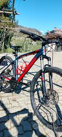 BICICLETTA MTB