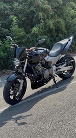 Hornet 600