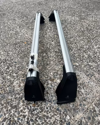 Barre porta tutto Portapacchi