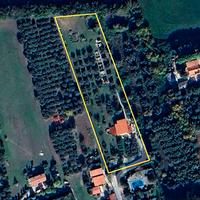 Italian Olive Farm, Adriatic Sea