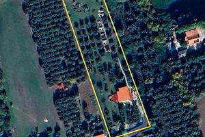 Italian Olive Farm, Adriatic Sea