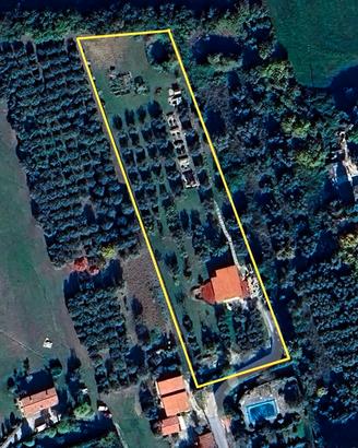 Italian Olive Farm, Adriatic Sea