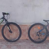 Bicicletta da adulto 