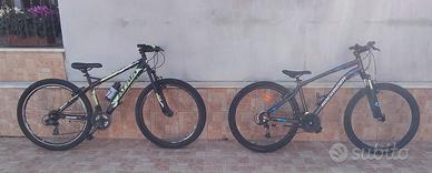 Bicicletta da adulto 