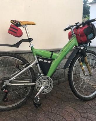 bicicletta mountain bike