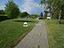 Immagine 19
