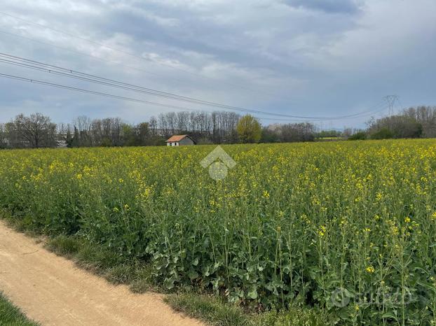 TER. AGRICOLO A MEZZAGO