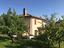 Immagine 15