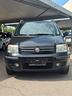 fiat-panda-1-2-emotion