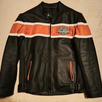 Lotto Abbigliamento Uomo - Harley Davidson, Lotus 