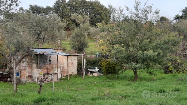 Terreno La Quercia Viterbo