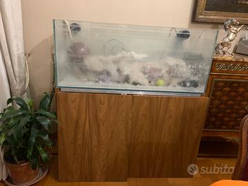 Acquario nuovo