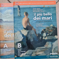 Libri "Il più bello dei mari" Pearson