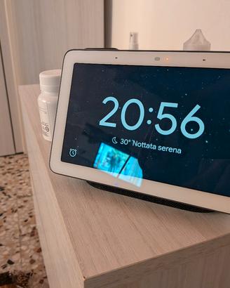 Google nest hub