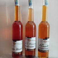 Bottiglie grappa: barrique; uve secche; cirmolo 