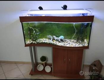 Aquario ad onda 200 litri